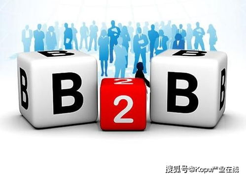 B2B平臺加速發(fā)展 從交易型平臺向供應(yīng)鏈服務(wù)轉(zhuǎn)型成行業(yè)共識